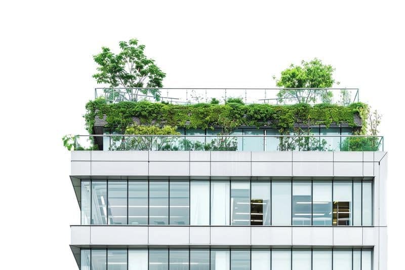 Pourquoi choisir un fournisseur d'électricité verte ?